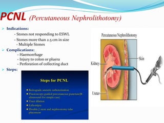 Stones & tumours of kidney ppt.- by Smriti singh | PPTX