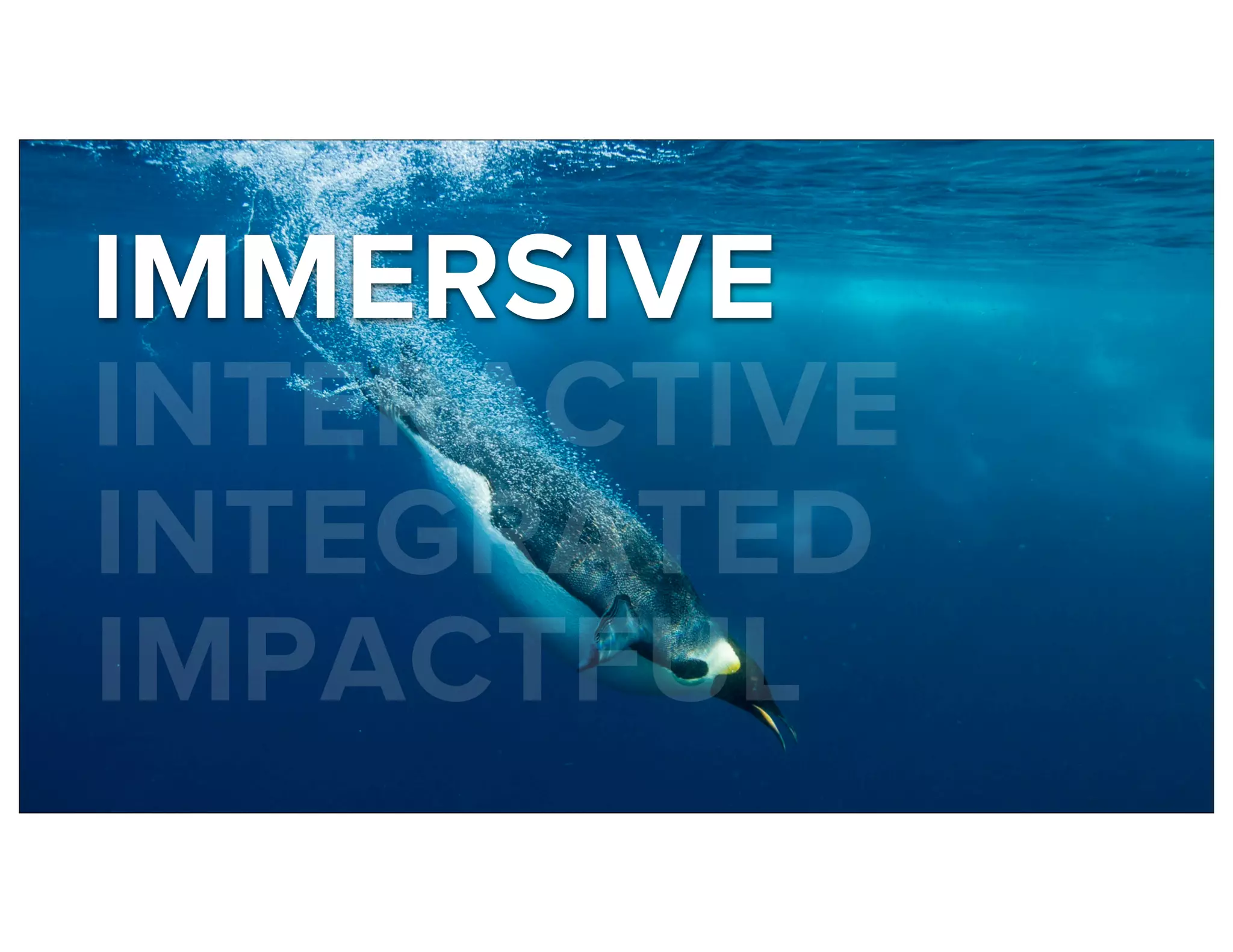 IMMERSIVE
INTERACTIVE
INTEGRATED
IMPACTFUL
 
