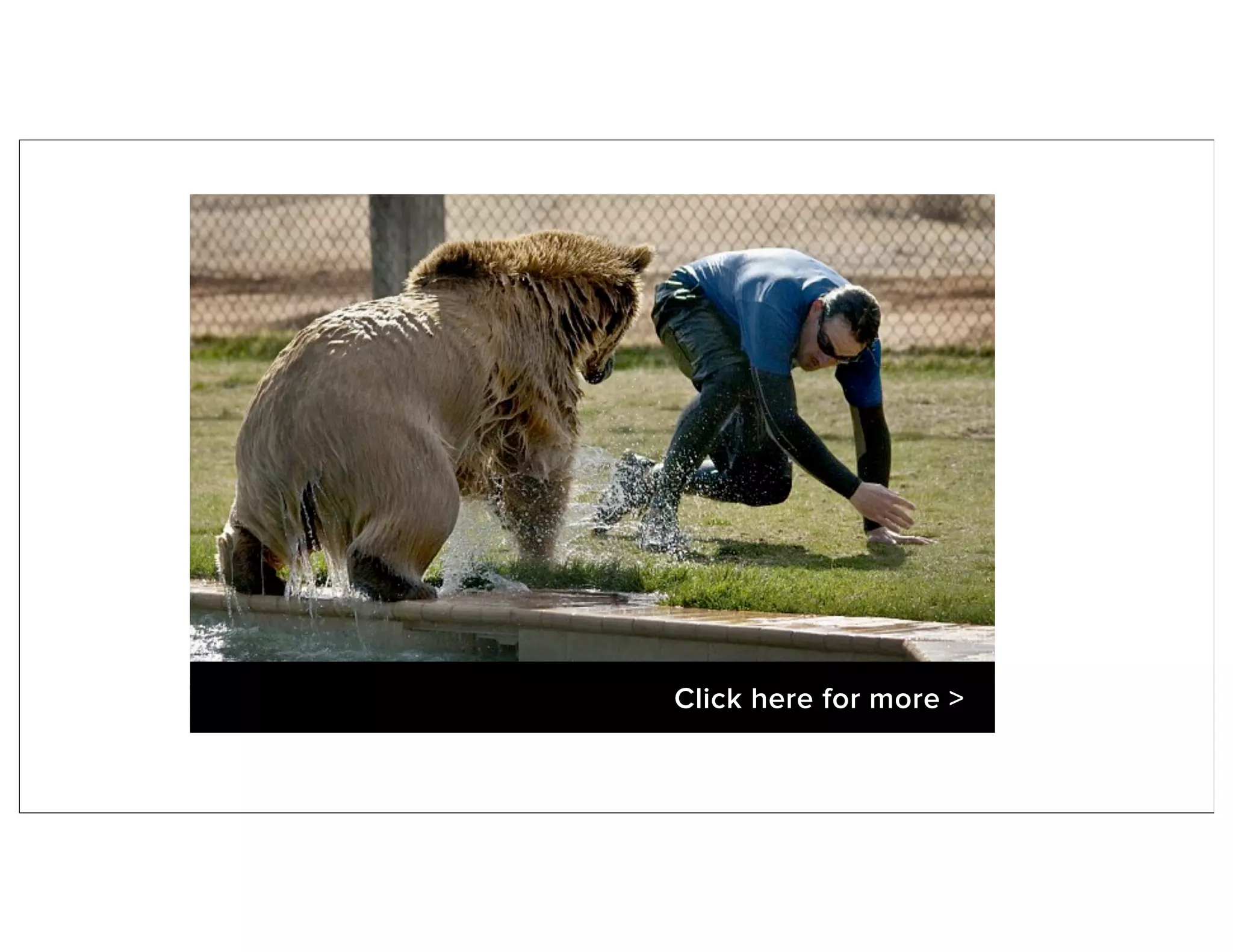 Click here for more >
 