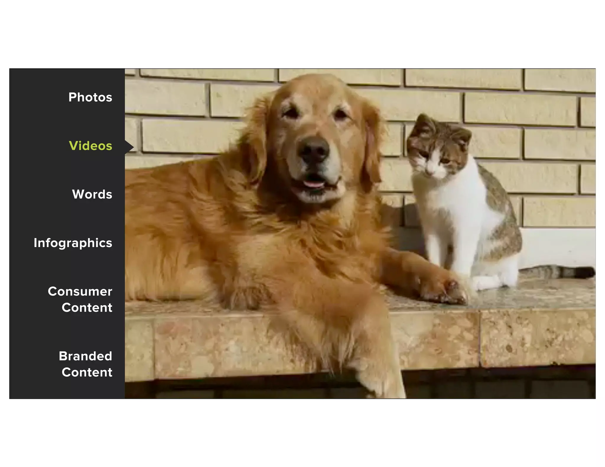 Photos
Videos
Words
Infographics
Consumer
Content
Branded
Content
 