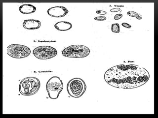 Coproscopia Stool analysis | PPTX
