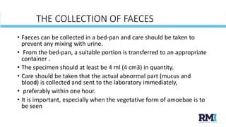 Stool examination | PPTX