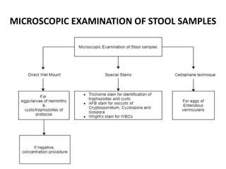 Stool Rme Stool Examination | PPTX