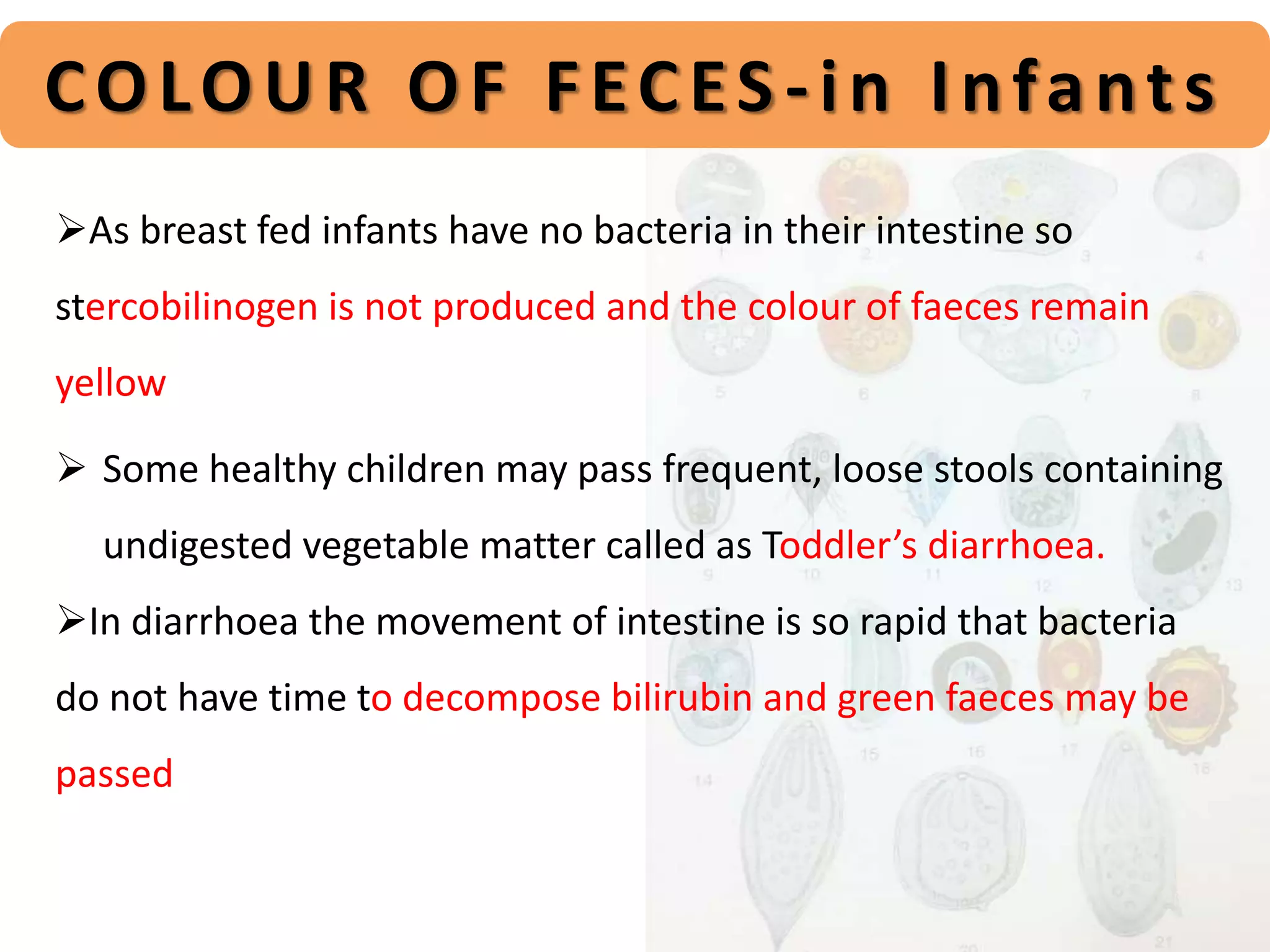 Stool examination.pptx