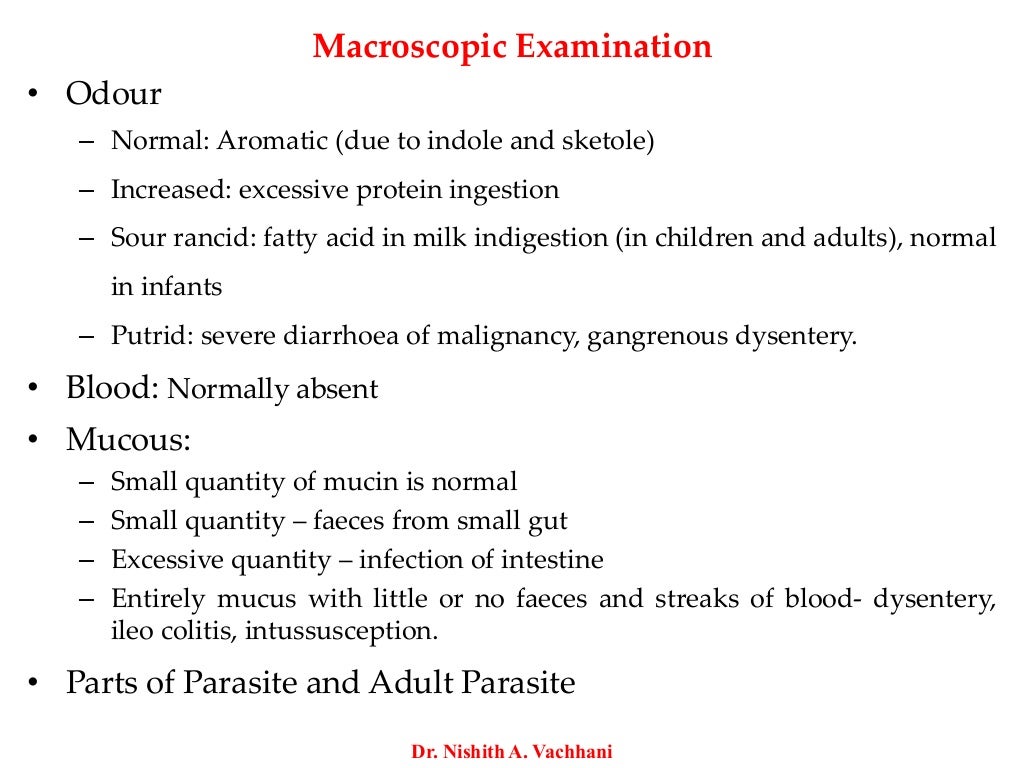 Stool Examinations