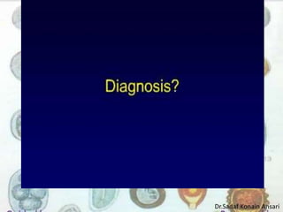 Dr.Sadaf Konain Ansari 
 