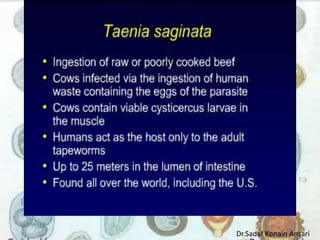 Dr.Sadaf Konain Ansari 
 