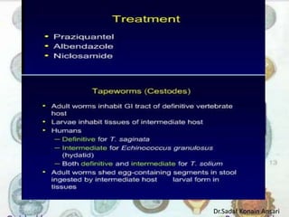 Dr.Sadaf Konain Ansari 
 