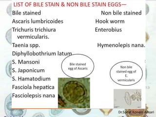 Dr.Sadaf Konain Ansari 
 