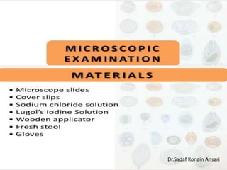 Dr.Sadaf Konain Ansari 
 