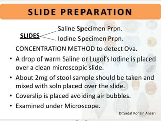 Dr.Sadaf Konain Ansari 
 