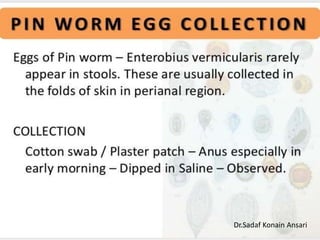 Dr.Sadaf Konain Ansari 
 