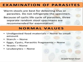 Dr.Sadaf Konain Ansari 
 