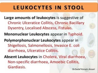 Dr.Sadaf Konain Ansari 
 