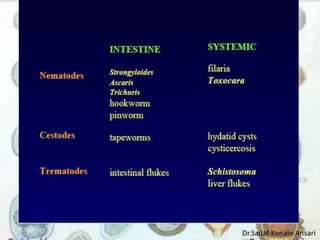 Dr.Sadaf Konain Ansari 
 