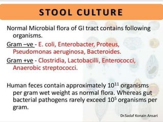 Dr.Sadaf Konain Ansari 
 