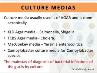 Dr.Sadaf Konain Ansari 
 