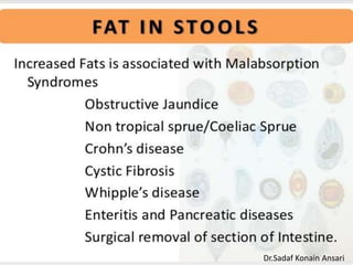 Dr.Sadaf Konain Ansari 
 