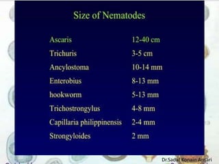 Dr.Sadaf Konain Ansari 
 