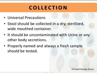 Dr.Sadaf Konain Ansari 
 