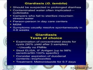 Dr.Sadaf Konain Ansari 
 