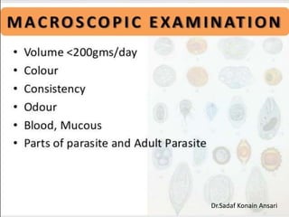 Dr.Sadaf Konain Ansari 
 