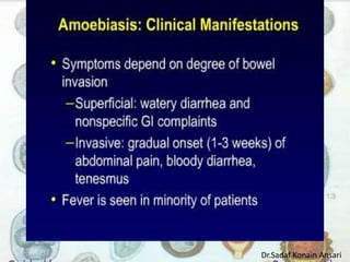 Dr.Sadaf Konain Ansari 
 