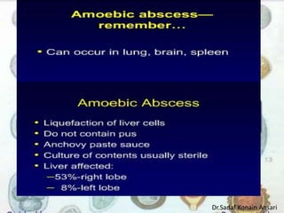 Dr.Sadaf Konain Ansari 
 