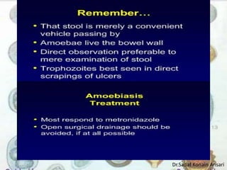 Dr.Sadaf Konain Ansari 
 