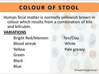 Dr.Sadaf Konain Ansari 
 