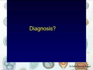 Dr.Sadaf Konain Ansari 
 