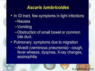 Dr.Sadaf Konain Ansari 
 