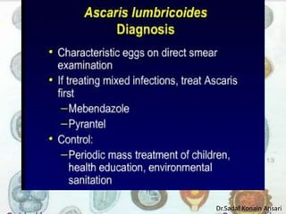 Dr.Sadaf Konain Ansari 
 