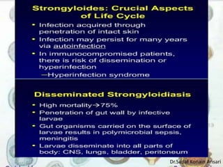 Dr.Sadaf Konain Ansari 
 