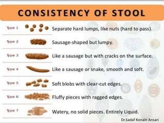 Dr.Sadaf Konain Ansari 
 