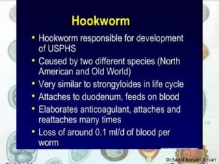 Dr.Sadaf Konain Ansari 
 