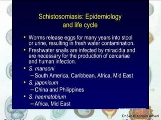 Dr.Sadaf Konain Ansari 
 