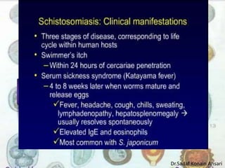 Dr.Sadaf Konain Ansari 
 