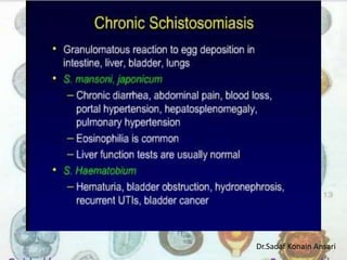 Dr.Sadaf Konain Ansari 
 