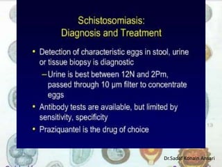 Dr.Sadaf Konain Ansari 
 