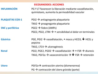 EICOSANOIDES: ACCIONES
INFLAMACIÓN PG Y LT favorecen la liberación mediante vasodilatación,
quimiotaxis, aumenta la permeabilidad vascular
PLAQUETAS COX-1 PGI2  antiagregante plaquetario
TXA2  proagregante plaquetario
SNC y periférico PGE2  fiebre (AMPc)
PGE2, PGI2, LTR4  sensibilidad al dolor en terminales▲
Gástrico PGE, PGI2  vasodilatación, moco y HCO3,▲  HCEL y
pepsina
TXA2, LTC4  ulcerogénesis
Renal PGI2, PGE2, PGD2  vasodilatación  FSR▲  diuresis
TXA2, PGF2a  vasoconstricción   FSR  retención
Utero PGF2a contracción uterina (dismenorrea)
PG  contracción del útero grávido (parto)
 