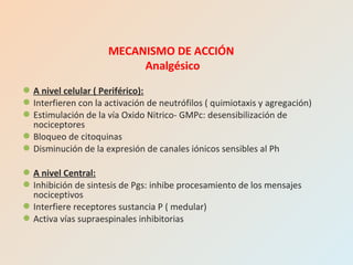 A nivel celular ( Periférico):
Interfieren con la activación de neutrófilos ( quimiotaxis y agregación)
Estimulación de la vía Oxido Nitrico- GMPc: desensibilización de
nociceptores
Bloqueo de citoquinas
Disminución de la expresión de canales iónicos sensibles al Ph
A nivel Central:
Inhibición de sintesis de Pgs: inhibe procesamiento de los mensajes
nociceptivos
Interfiere receptores sustancia P ( medular)
Activa vías supraespinales inhibitorias
MECANISMO DE ACCIÓN
Analgésico
 