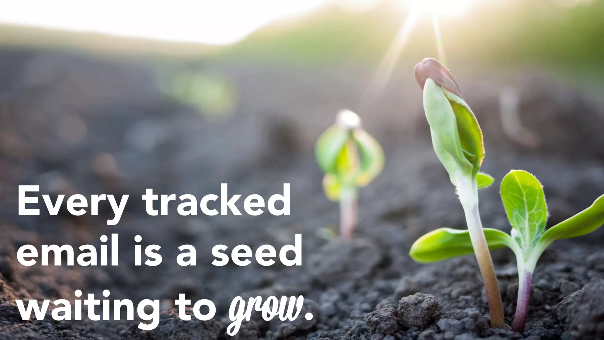Every tracked 
email is a seed 
waiting to grow. 
 