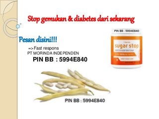 Stop gemukan & diabetes dari sekarang
Pesan disini!!!
=>Fast respons
PT MORINDA INDEPENDEN
PIN BB : 5994E840
 