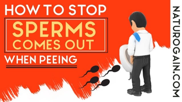 How to Stop Sperm Comes Out When Peeing with Natural Semen Leakage Pi… How to Stop Sperm Comes Out When Peeing with Natural Semen Leakage Pi…