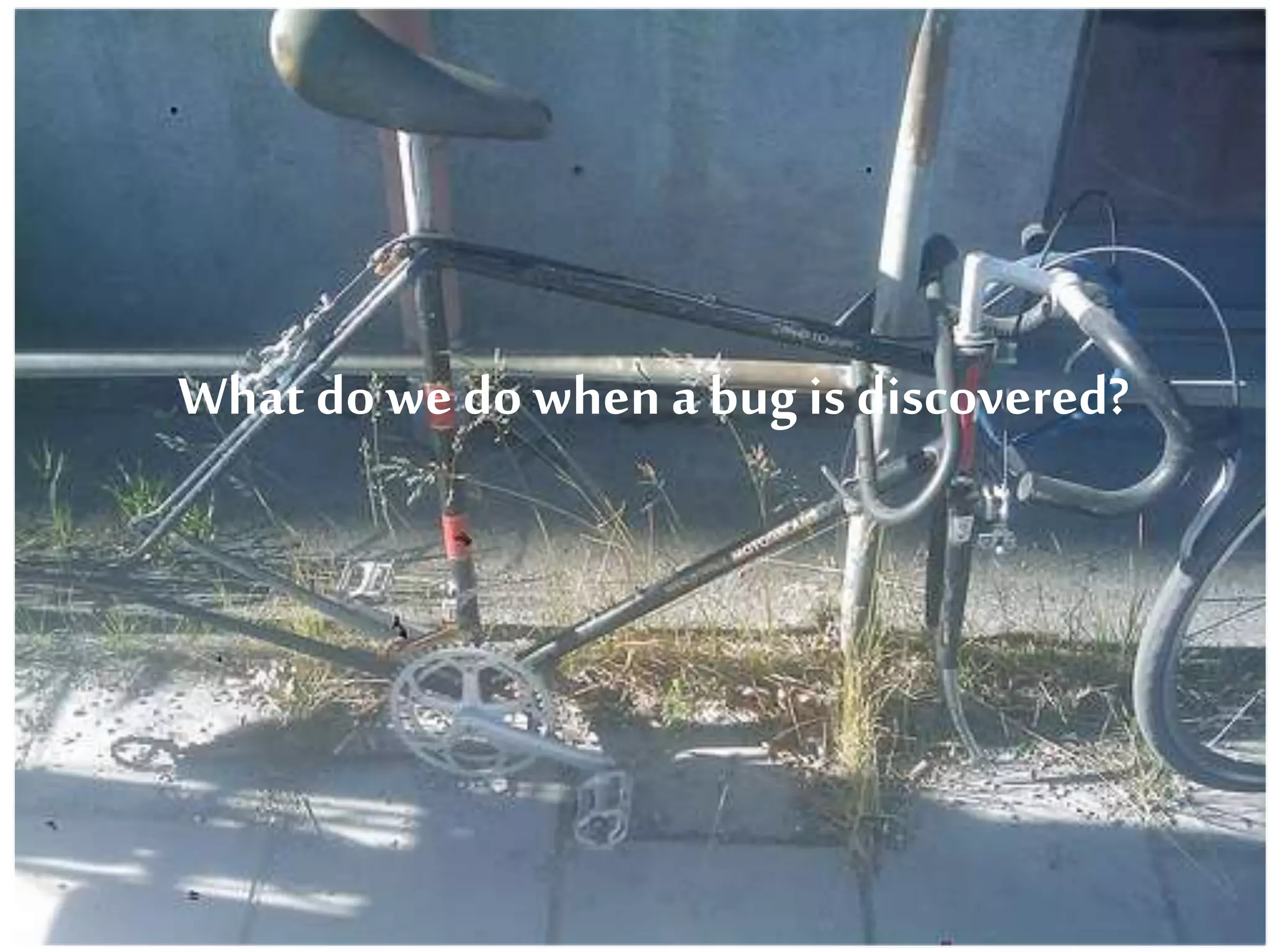 What dowedowhena bug is discovered?
 