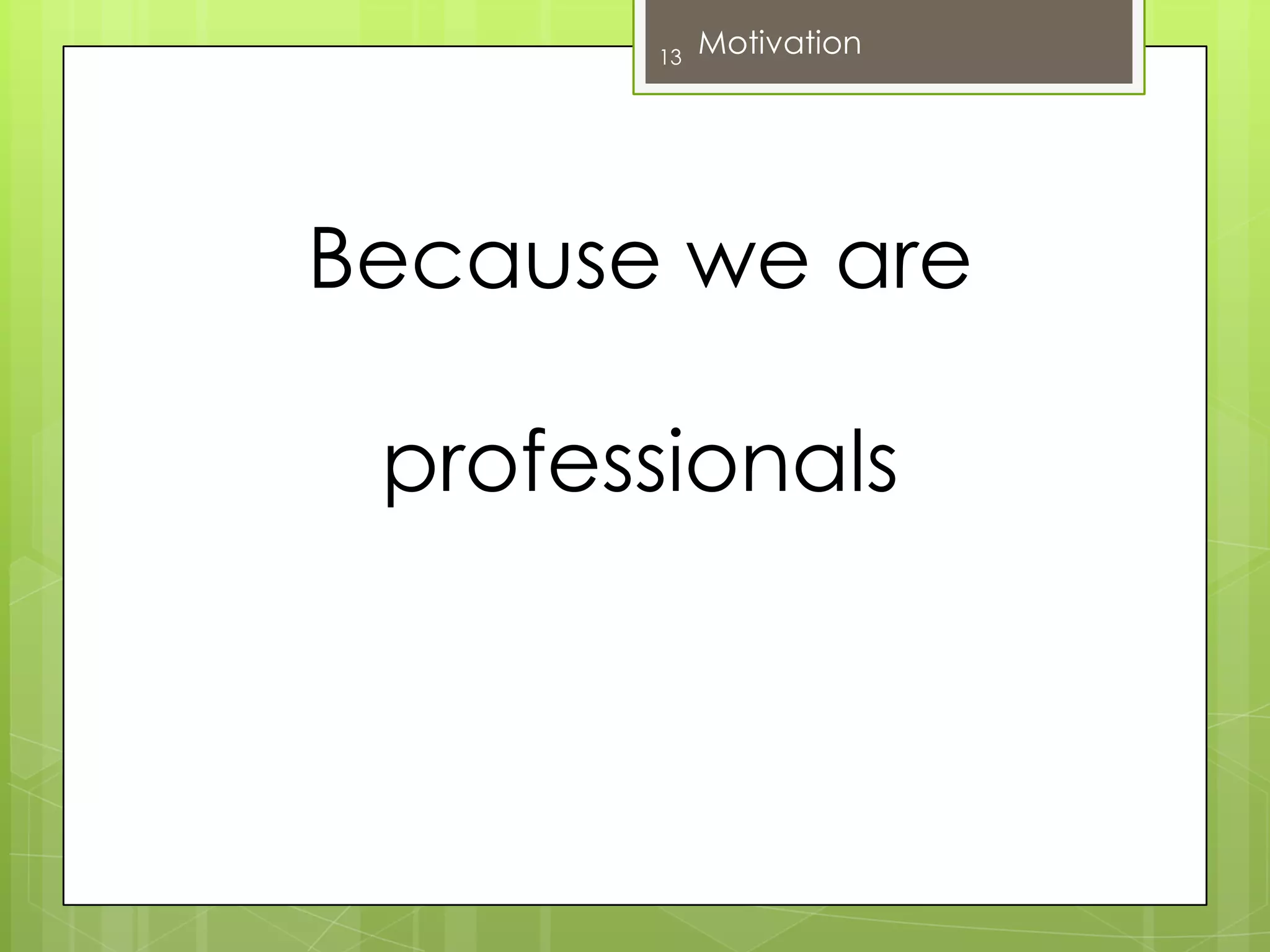 Because we are professionals13Motivation