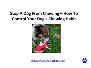 Stop A Dog From Chewing – How To Control Your Dog's Chewing Habit   http://www.howtoteachdog.com 