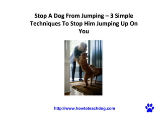 Stop A Dog From Jumping – 3 Simple Techniques To Stop Him Jumping Up On You   http://www.howtoteachdog.com 