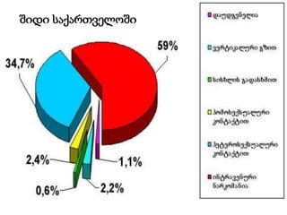 შიდი საქართველოში
 